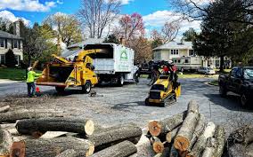 Reliable Gwinn, MI Tree Removal Solutions